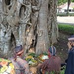 Ekspresi Budaya Desa Borobudur Saparan