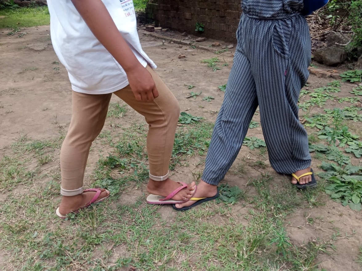 Donald Bebek - Eksotika Desa