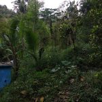 potensi alam dan sumber tuk sumberejo Desa Bigaran Borobudur