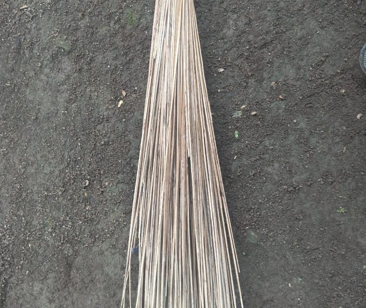 Sapu Sada