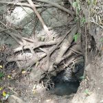empat keramat Sendang Kuntul putih - desa Kenalan