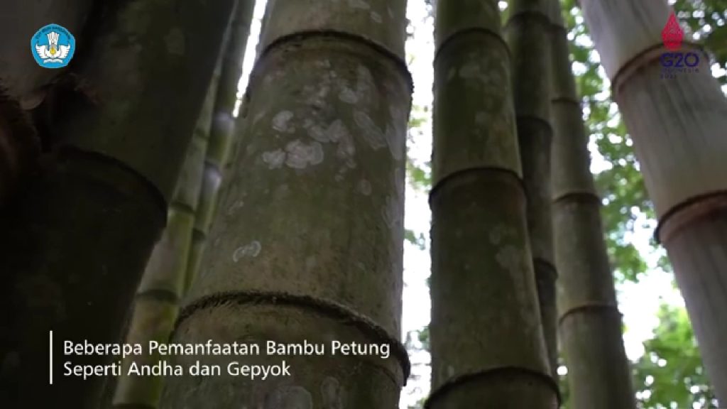 Kampung Pring - Potensi Desa Kebonsari - Borobudur