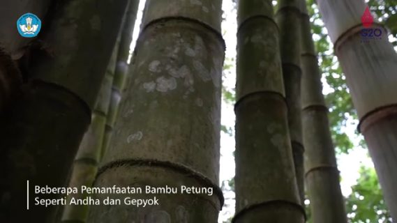 Video - Kampung Pring - Potensi Desa Kebonsari
